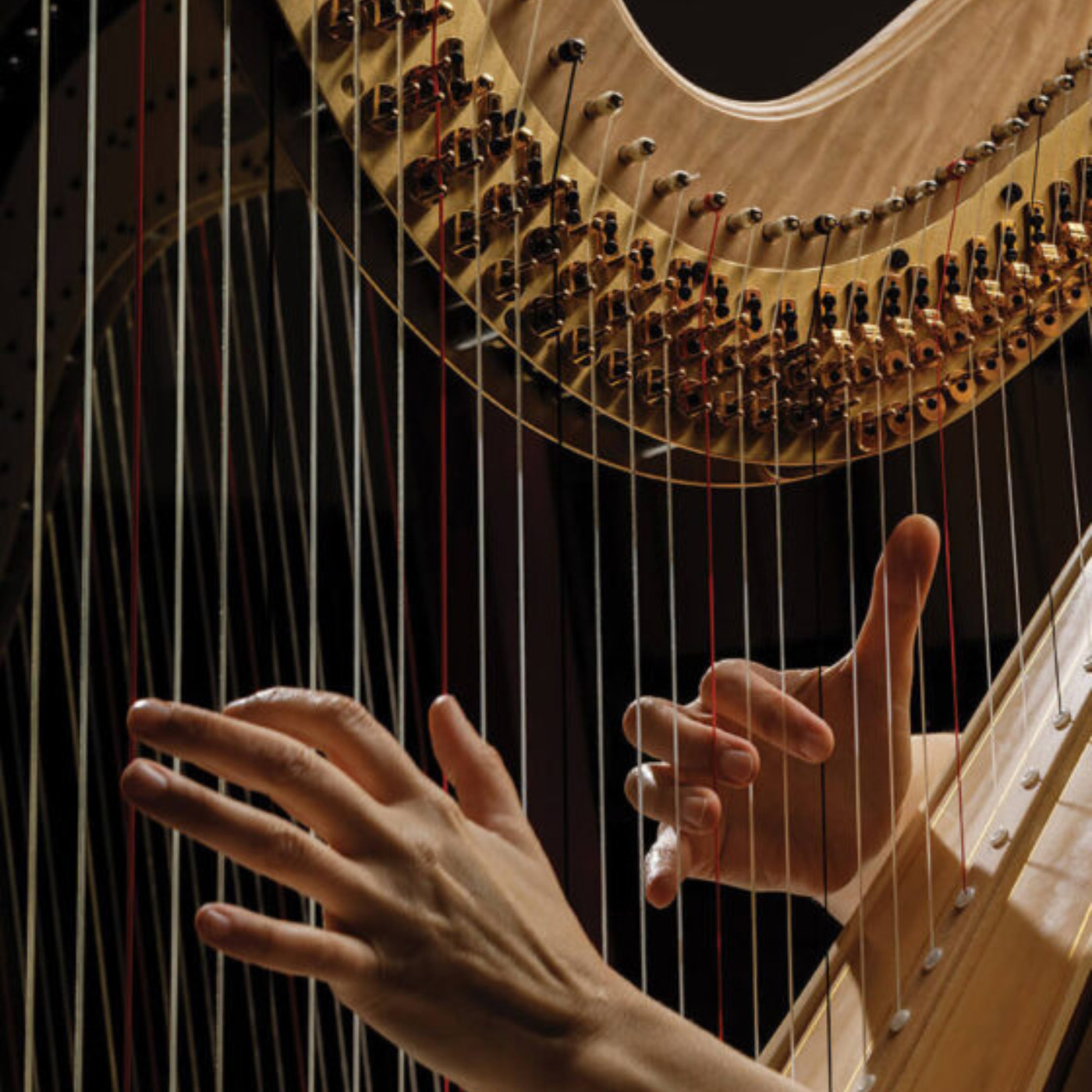 Sue Tice— Harpist