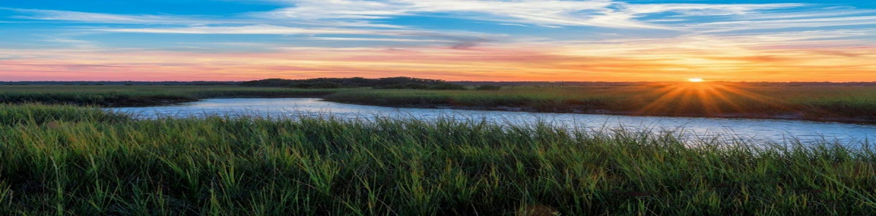 Protecting Land to Protect Water